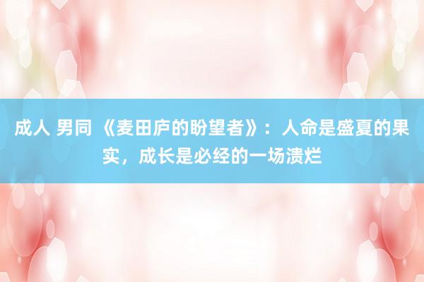 成人 男同 《麦田庐的盼望者》：人命是盛夏的果实，成长是必经的一场溃烂