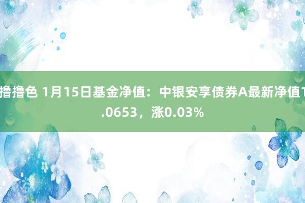 撸撸色 1月15日基金净值：中银安享债券A最新净值1.0653，涨0.03%