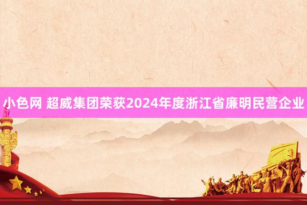小色网 超威集团荣获2024年度浙江省廉明民营企业