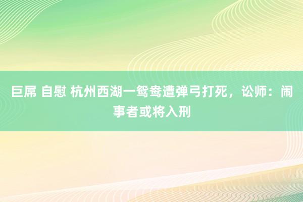 巨屌 自慰 杭州西湖一鸳鸯遭弹弓打死，讼师：闹事者或将入刑
